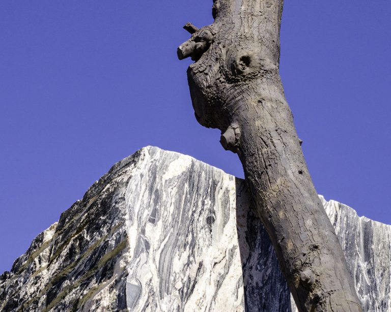 PENONE_082_The-Inner-Flow-of-Life_c2517_dig©Archivio_Penone_ed ritagliato