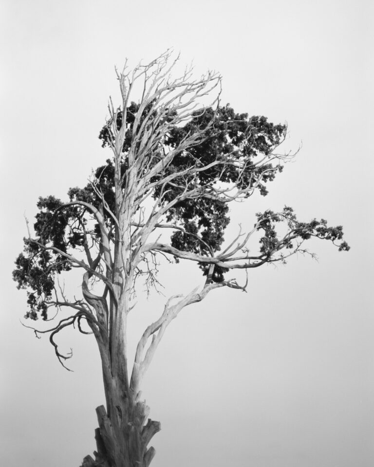 Erdiola Kanda Mustafaj08