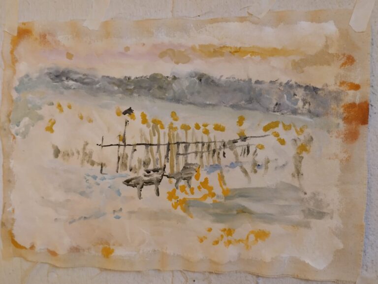 Panchine sui fiordi 2