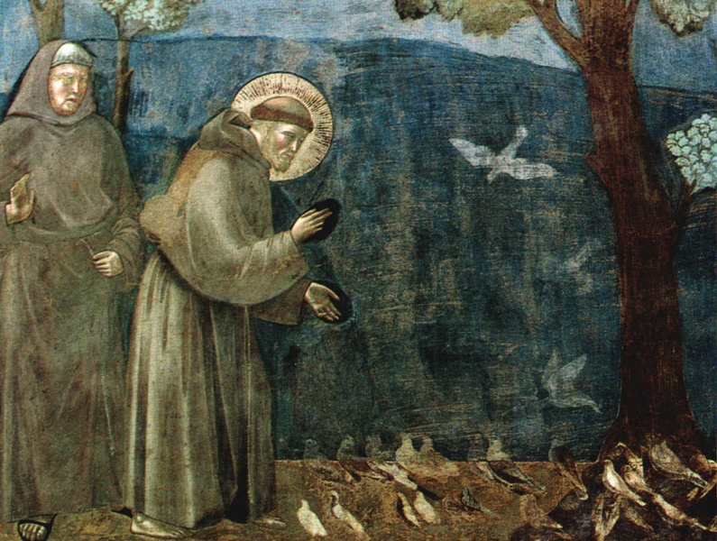 giotto-san-francesco-predica-agli-uccelli1