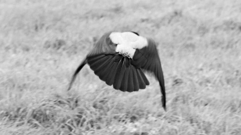 Erdiola Kanda Mustafaj_05