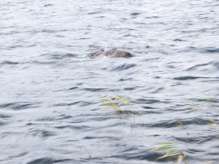 Erdiola Kanda Mustafaj_07