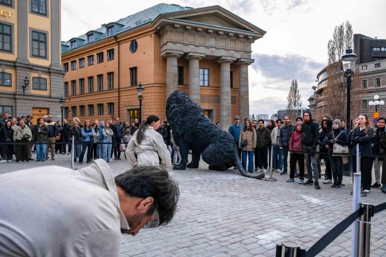 Dance performance (C) Federico Feusi