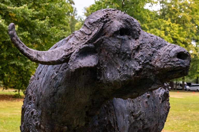 Blowing Figures into Space (C) Federico Feusi